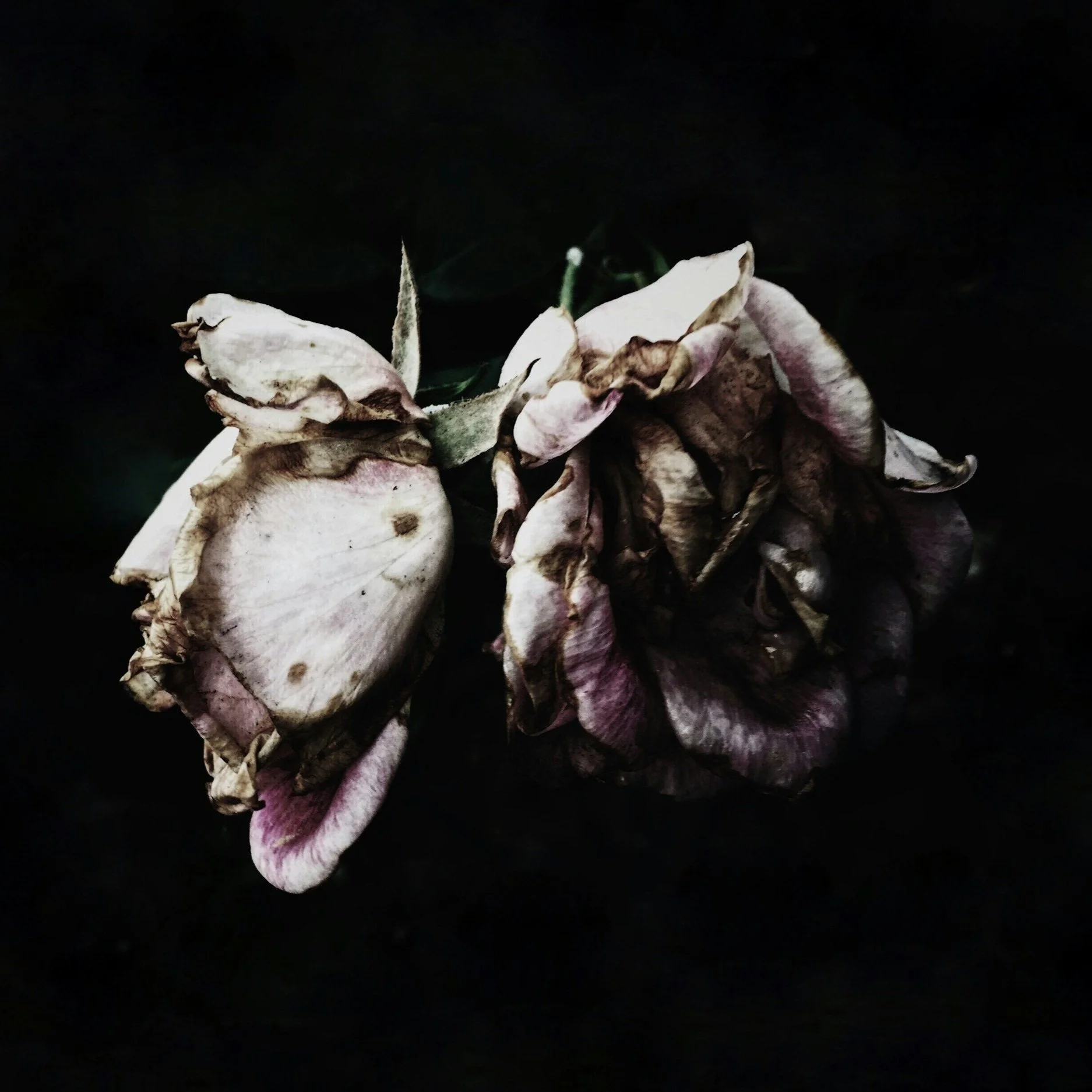 unsplash-image-pwfY1mIm2EM.jpg