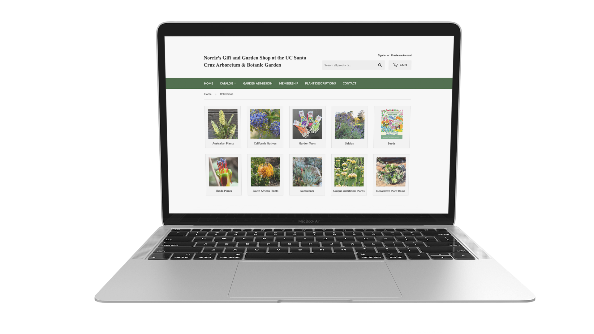 UC Santa Cruz Arboretum webstore detail