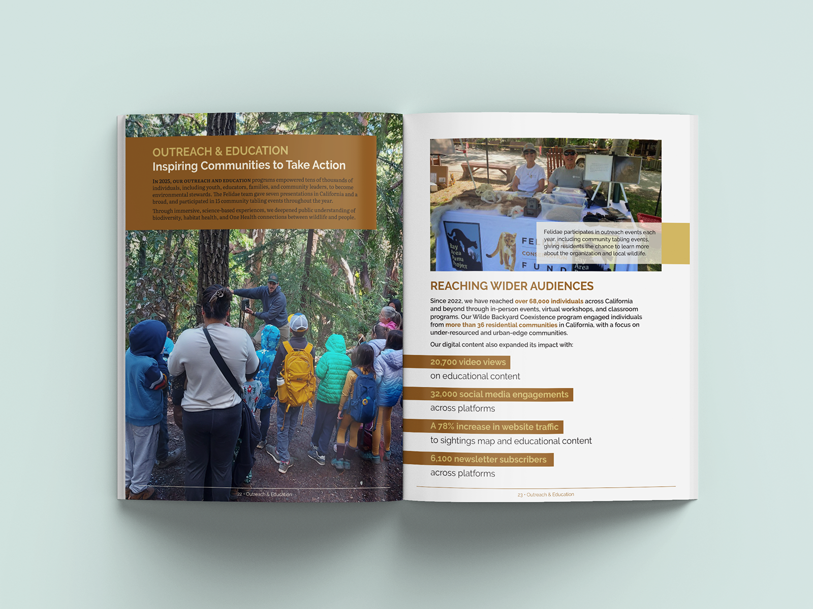 Felidae Fund Impact Report outreach and education spread