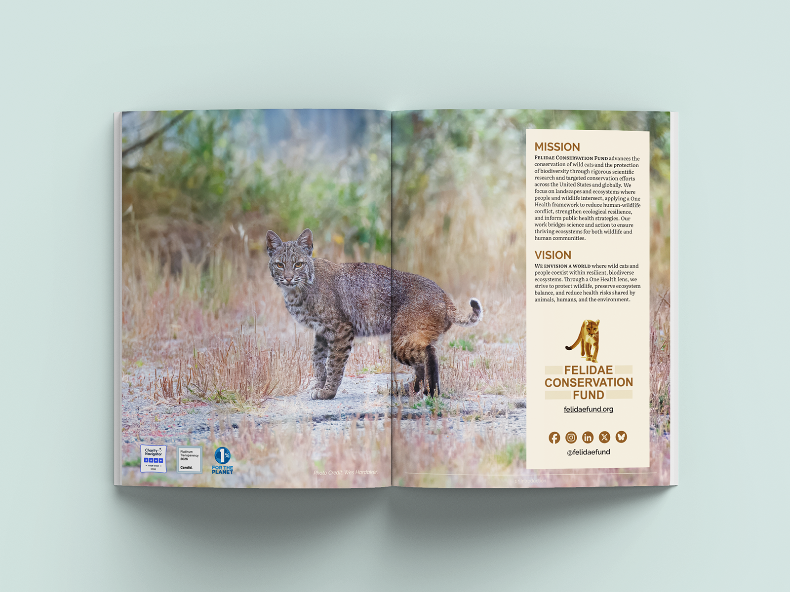 Felidae Fund Impact Report mission and vision spread