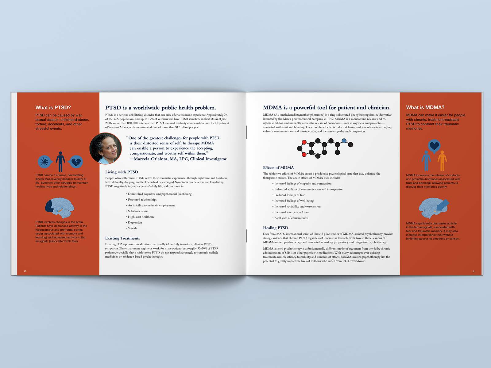 MAPS donor booklet design inside layout