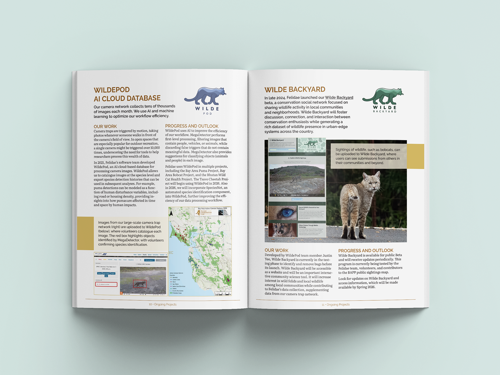 Felidae Fund Impact Report project update spread