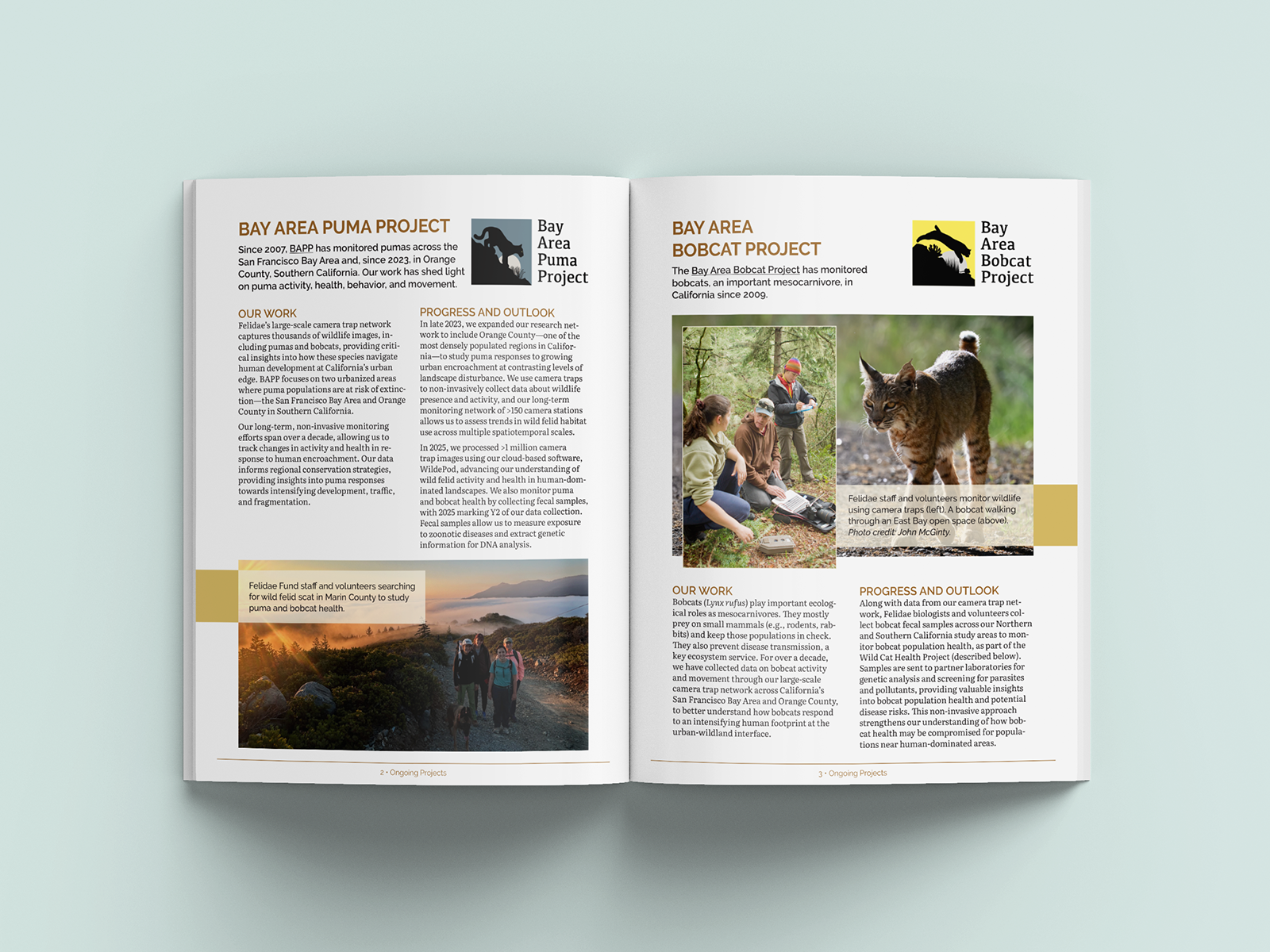 Felidae Fund Impact Report project update spread
