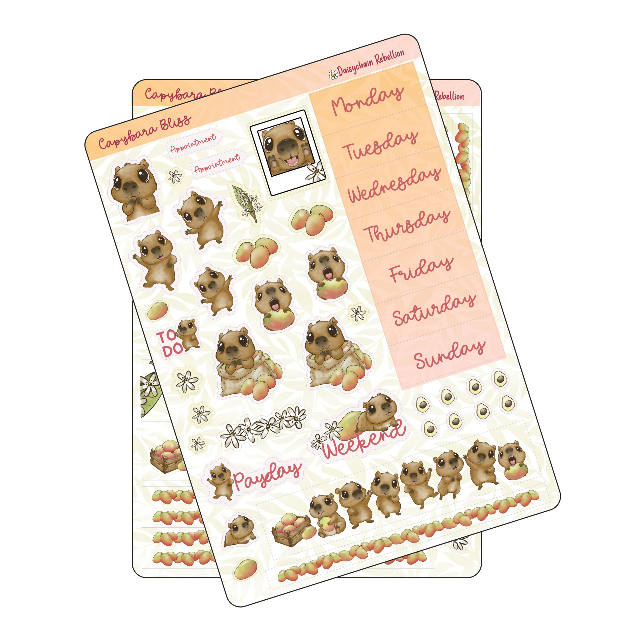 Capybara Bliss Petite (A6) Weekly Sticker Kit