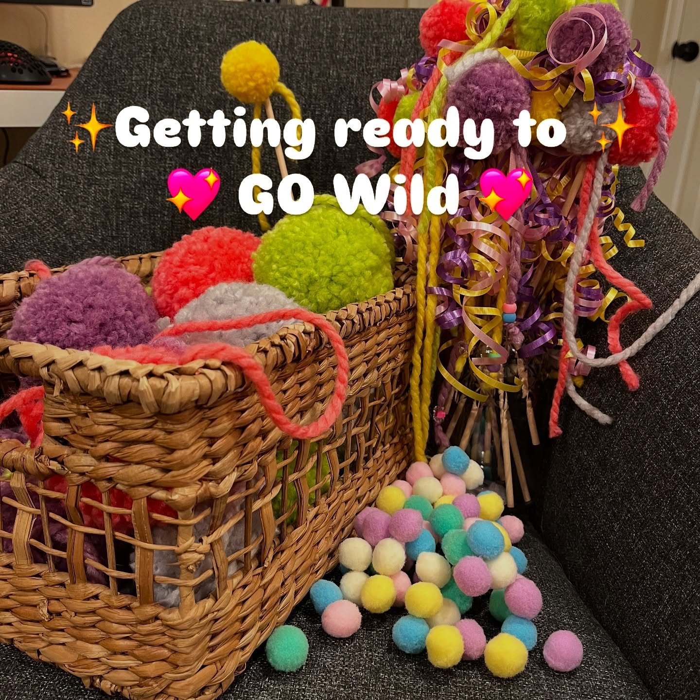 What's up guys? Melissa and I are almost ready to roll to Indy for GO Wild tomorrow! It's wild (haha) to think about how much we've accomplished since October. We're really thankful for all your support. Thanks for being awesome! See you tomorrow! @g