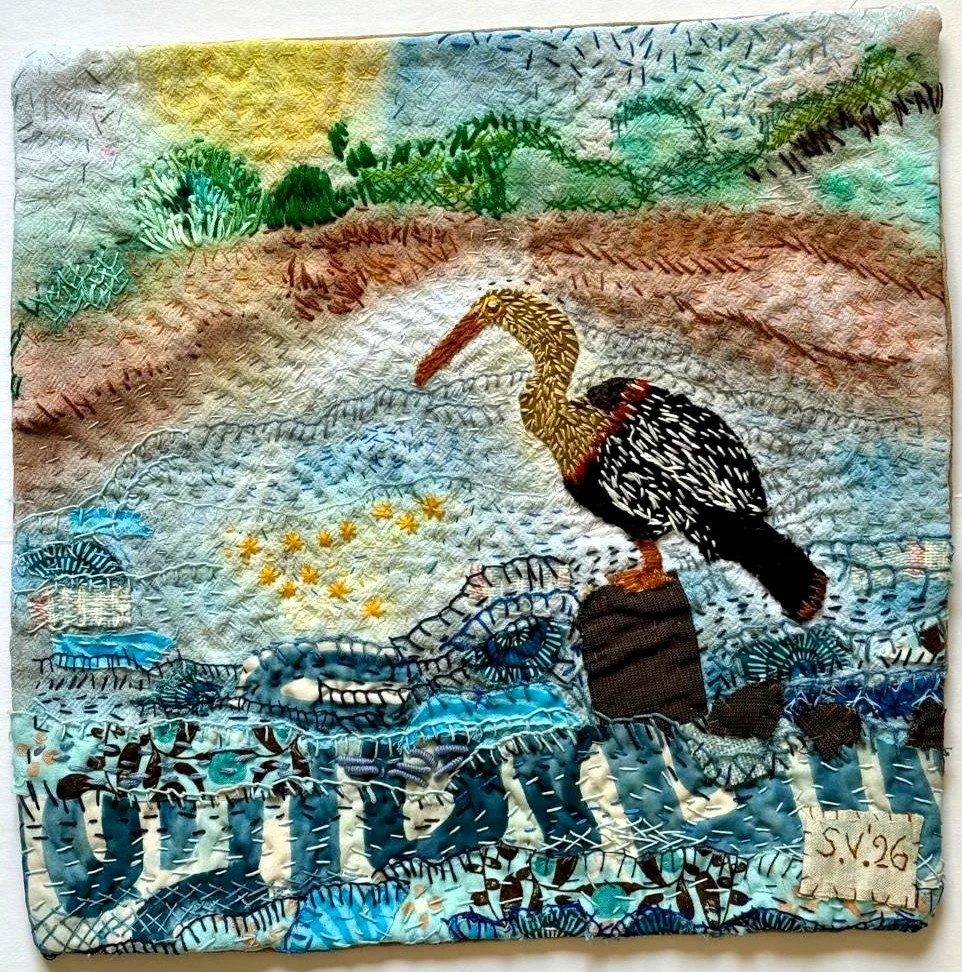 River Woman Anhinga.jpeg