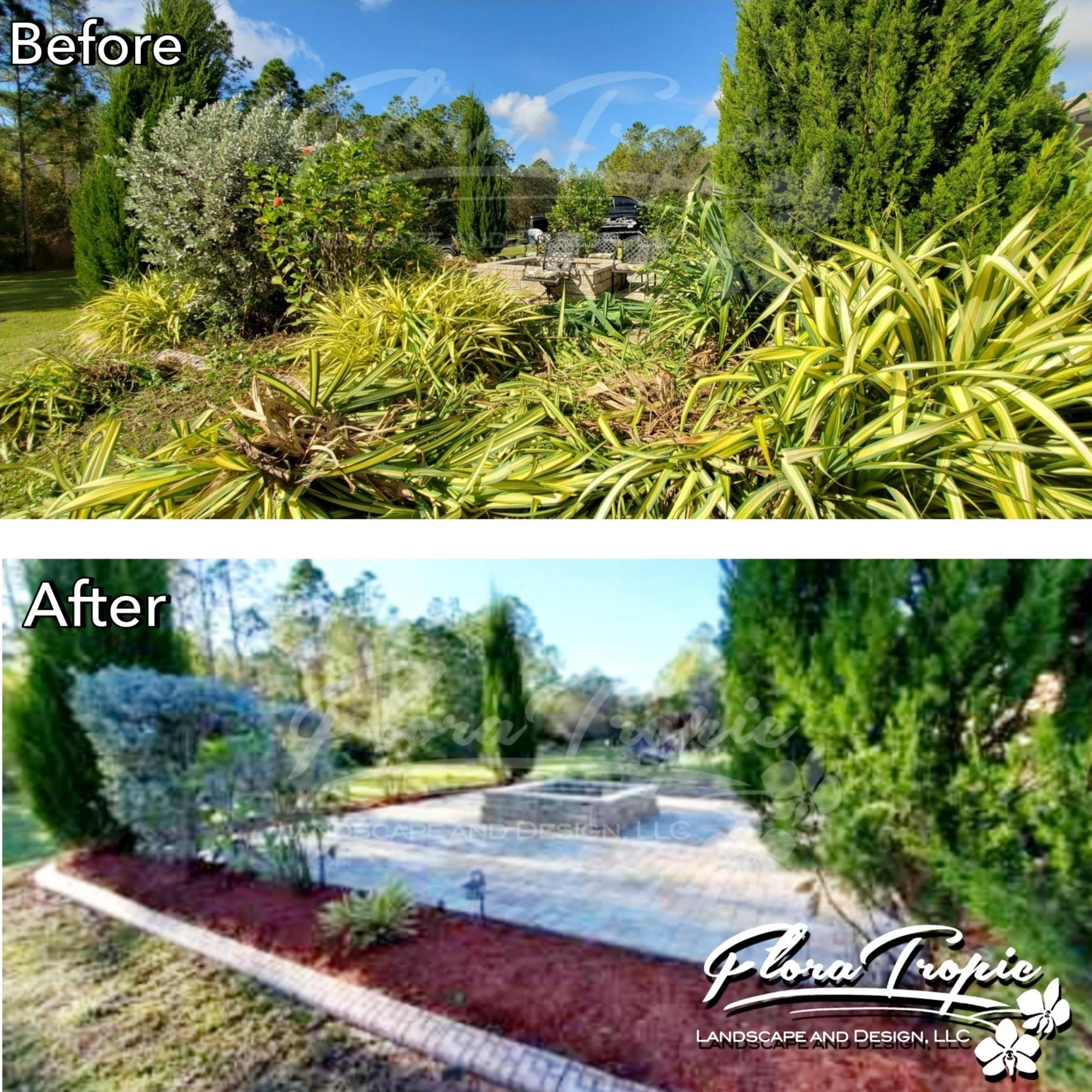 Neil first big garden cleanup 2.jpg
