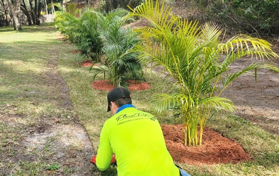 plant install 1.jpg