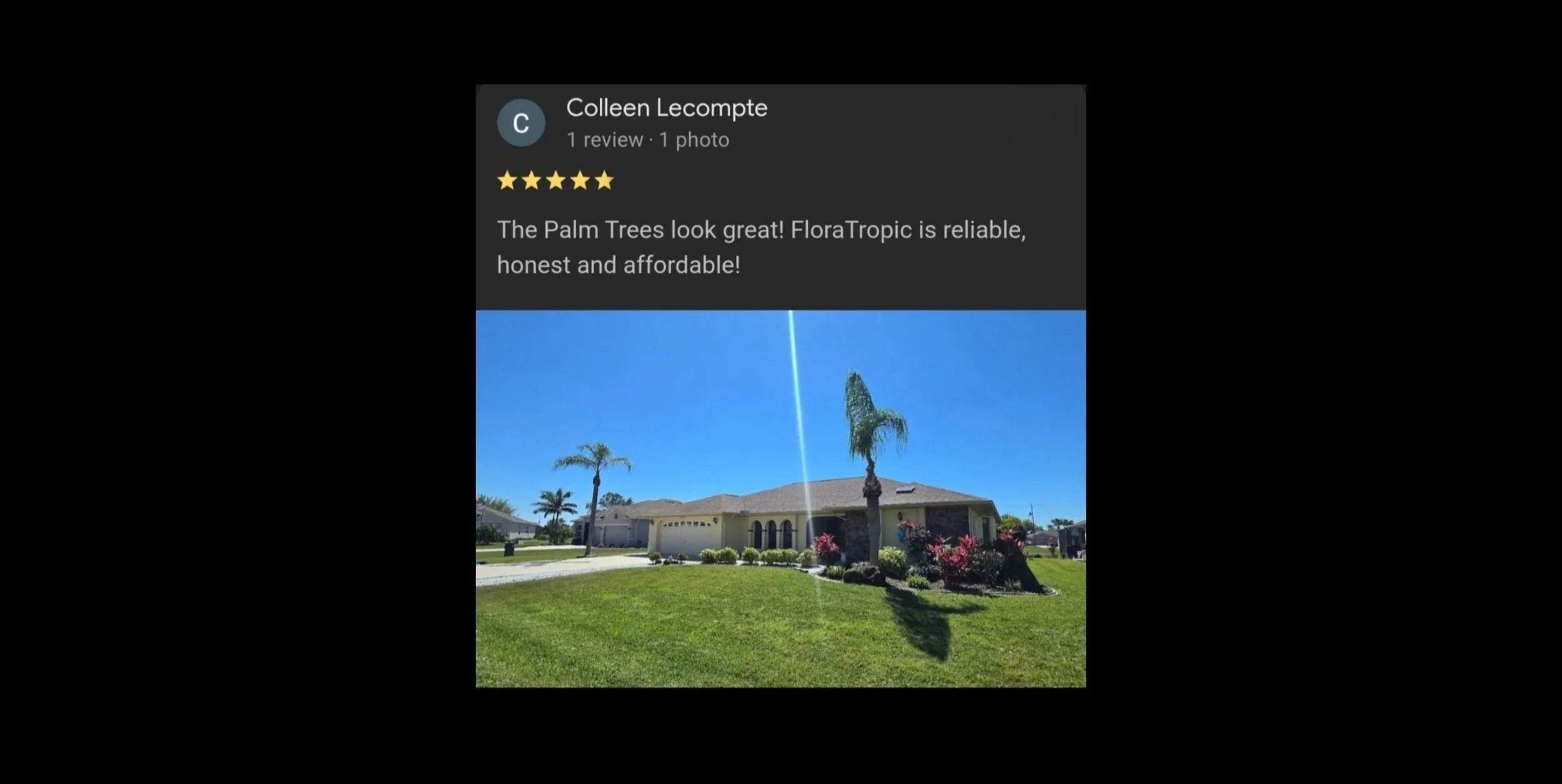 palm review.jpg