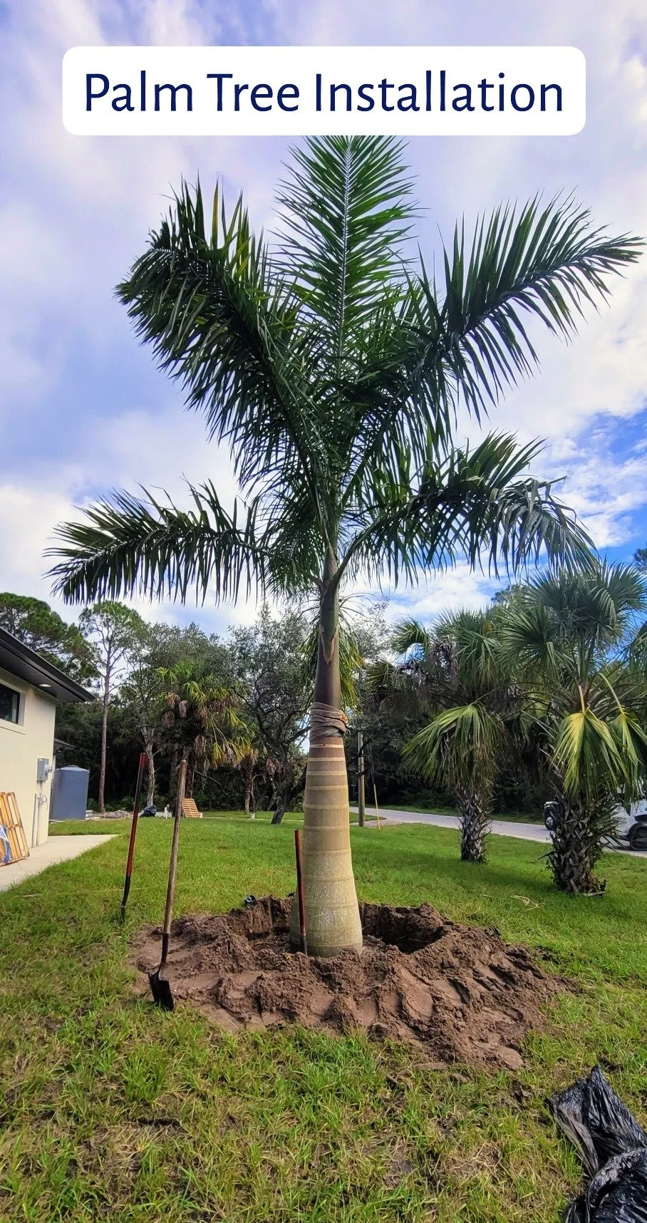 palm tree install.JPG