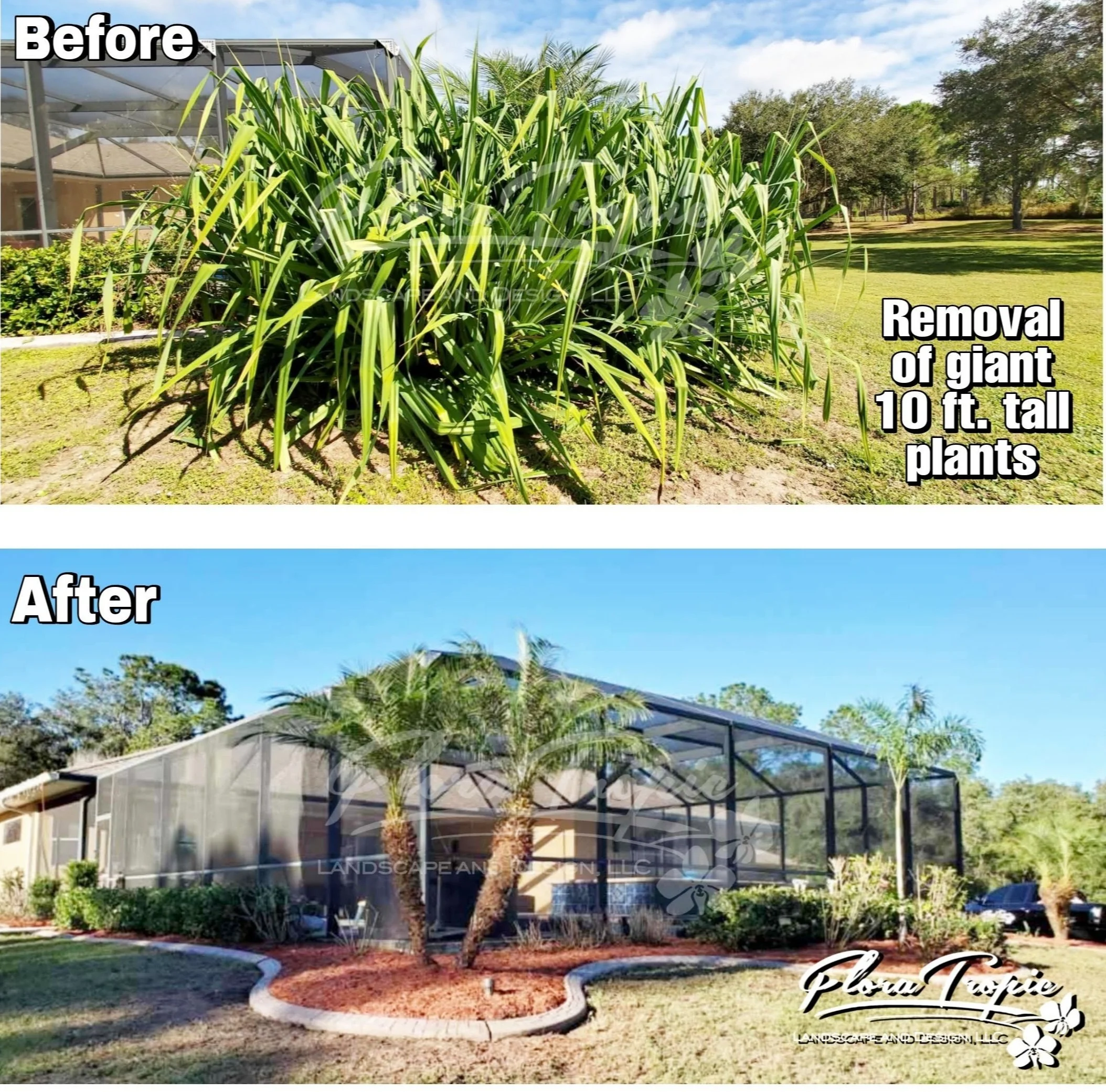 garden cleanup 7.jpg