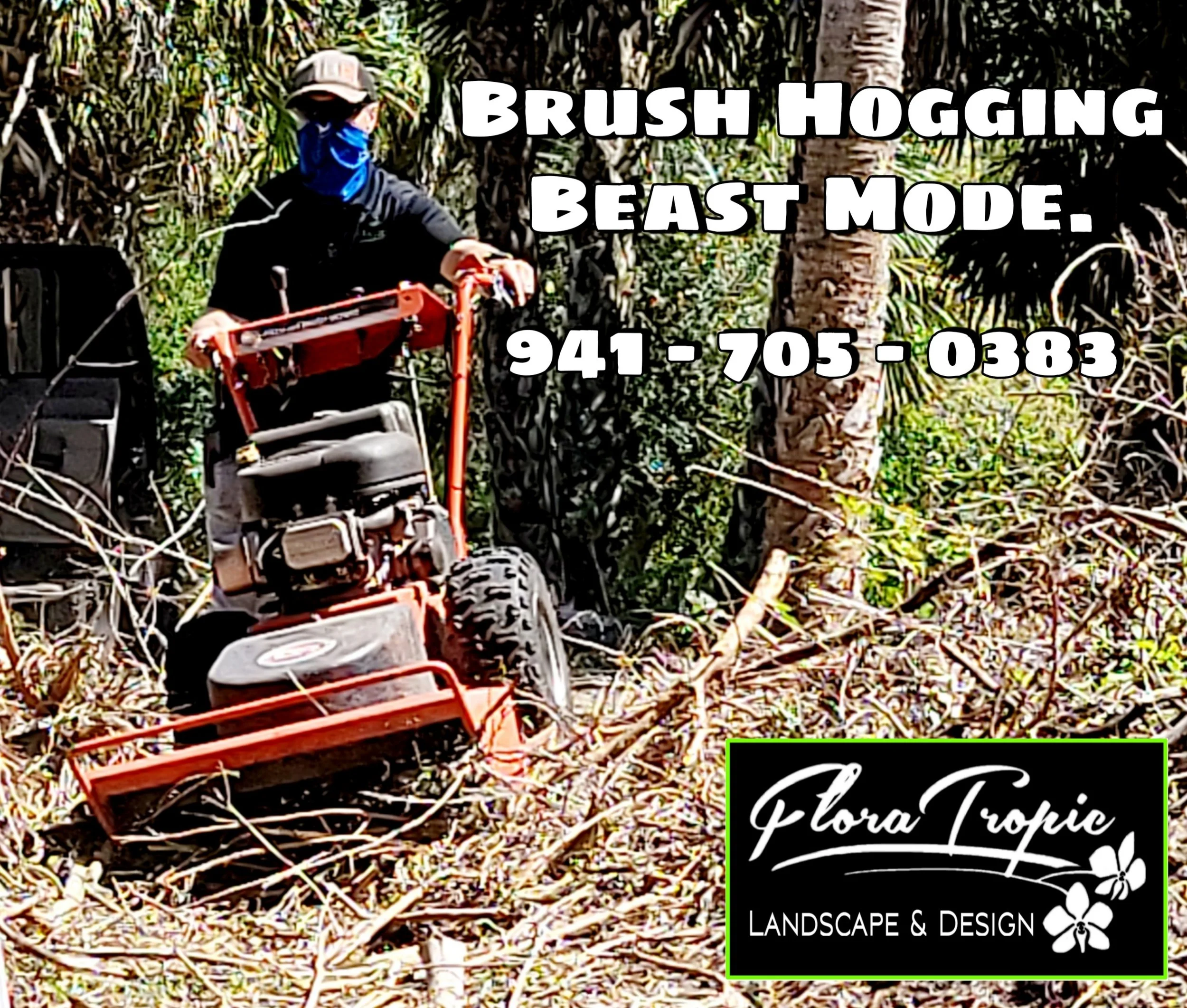 brush mowing.jpg
