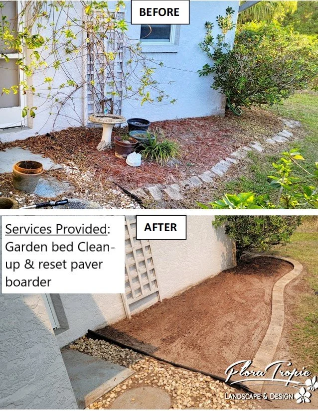 garden cleanup 9.jpg