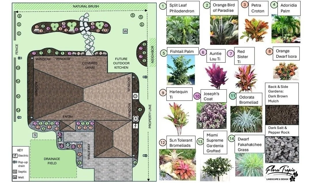 Large 1D Aerial View Garden Design.jpg