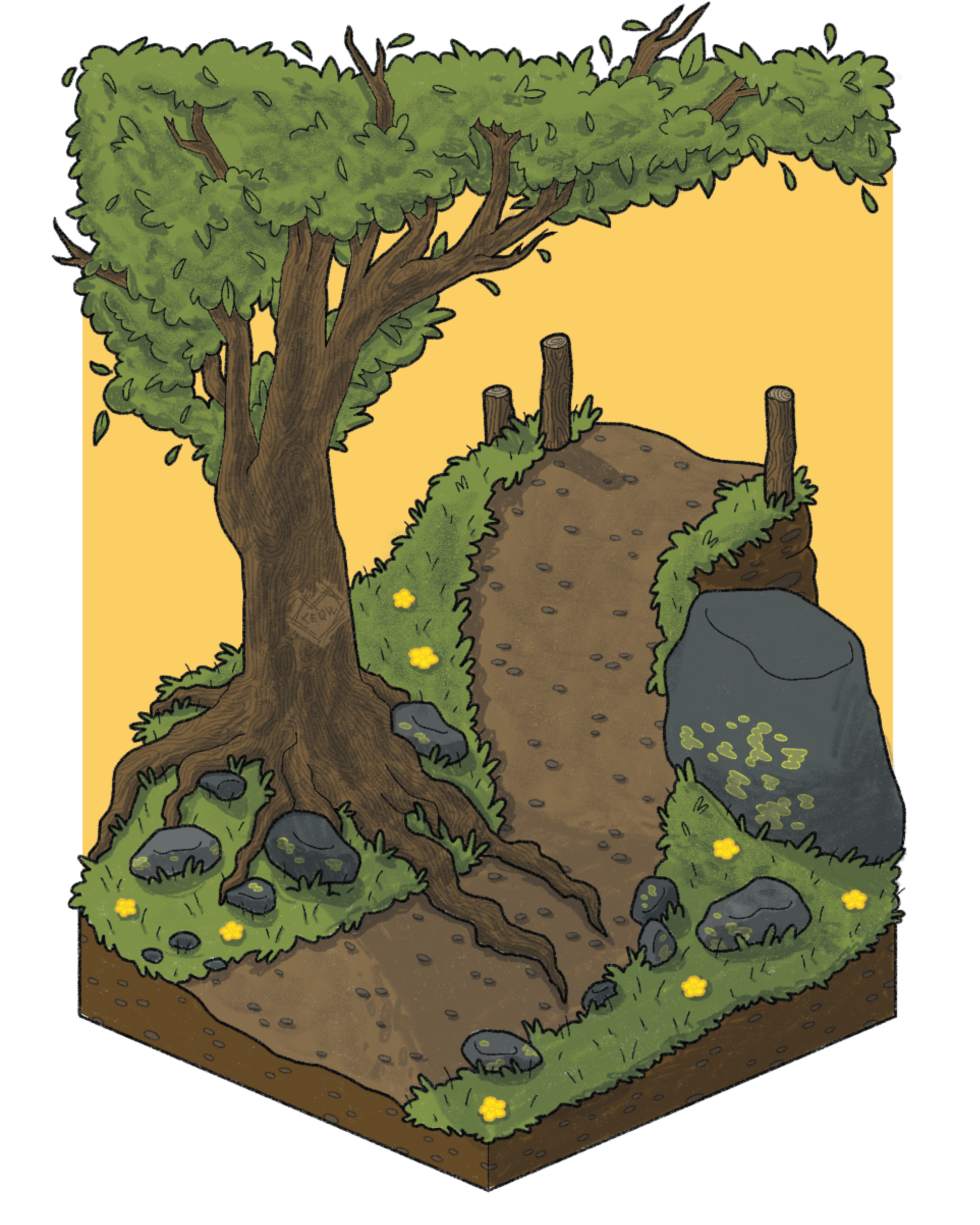 Landscapes