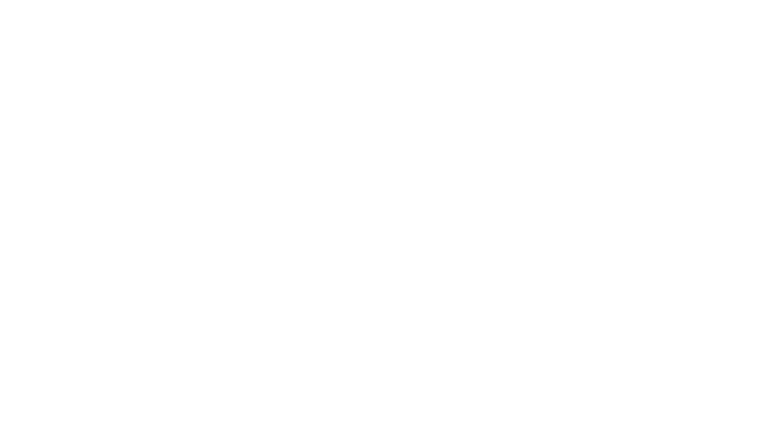 Lore Bookstore Purchase