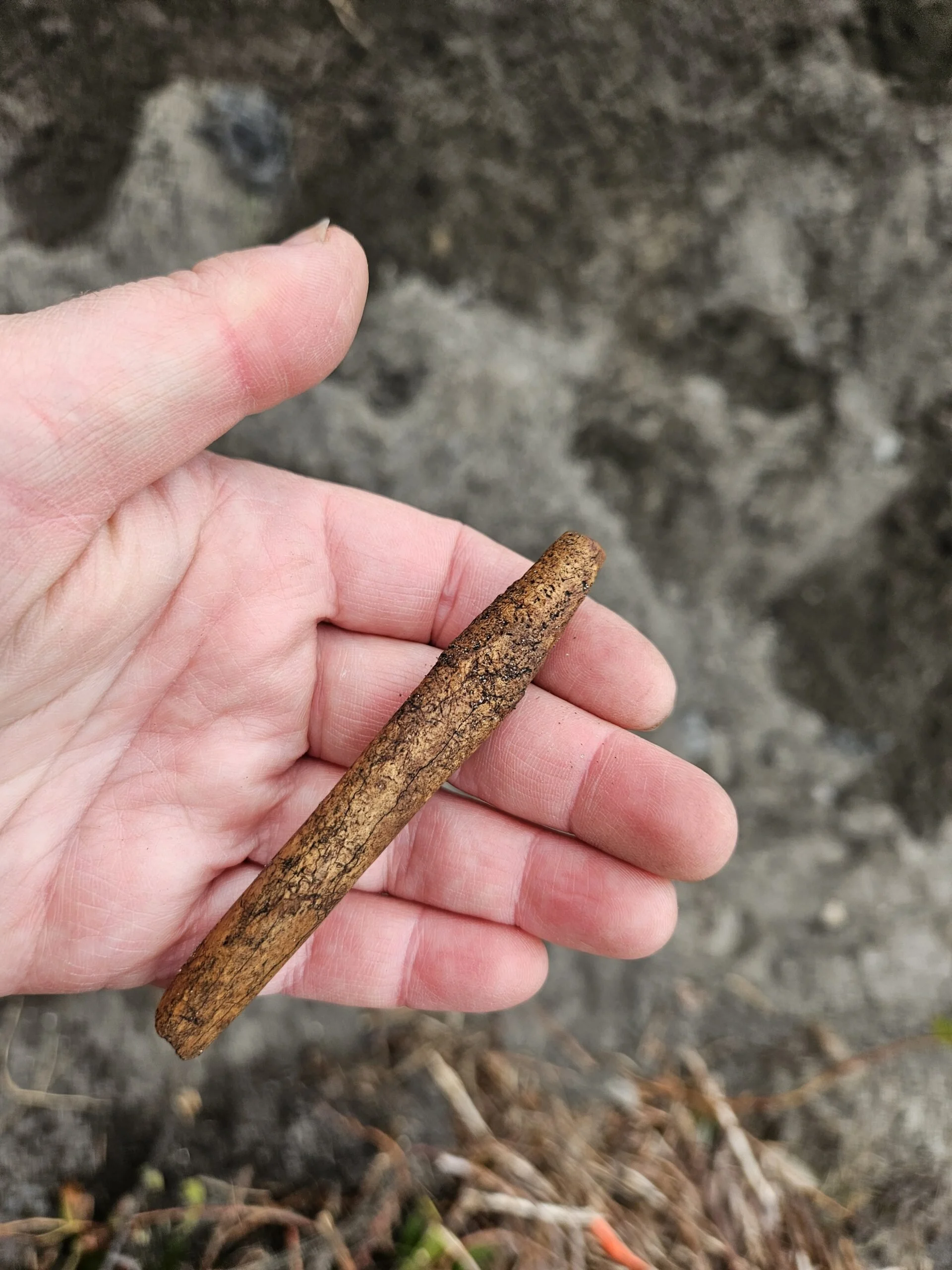 Pole Recovered in G̲aw Tlagée.jpg