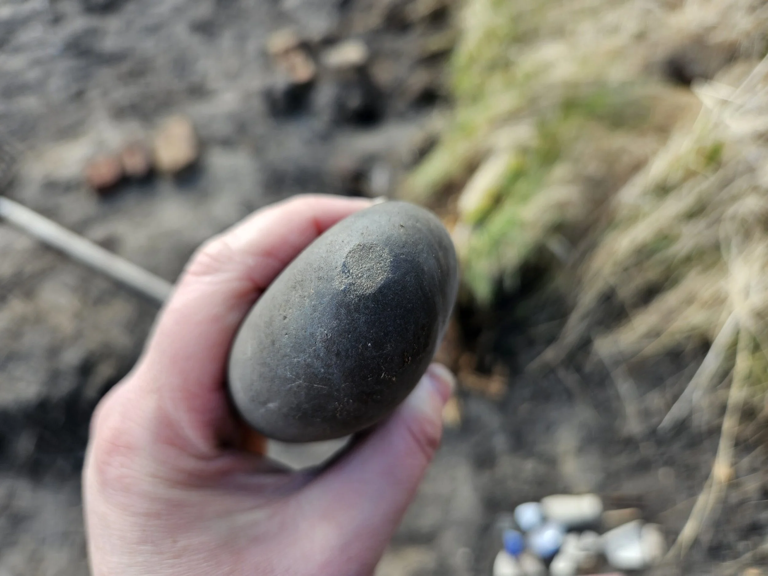 Pole Recovered in G̲aw Tlagée.jpg