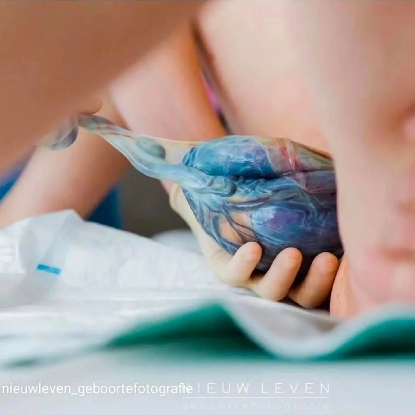 A pretty placenta???

Up close it looks like rivers and tributaries and the cord a twisting aspen over the water.

Wait...are we talking about placentas or a work of art???

Both!

I don't always think of placentas as art. Sometimes they just look li