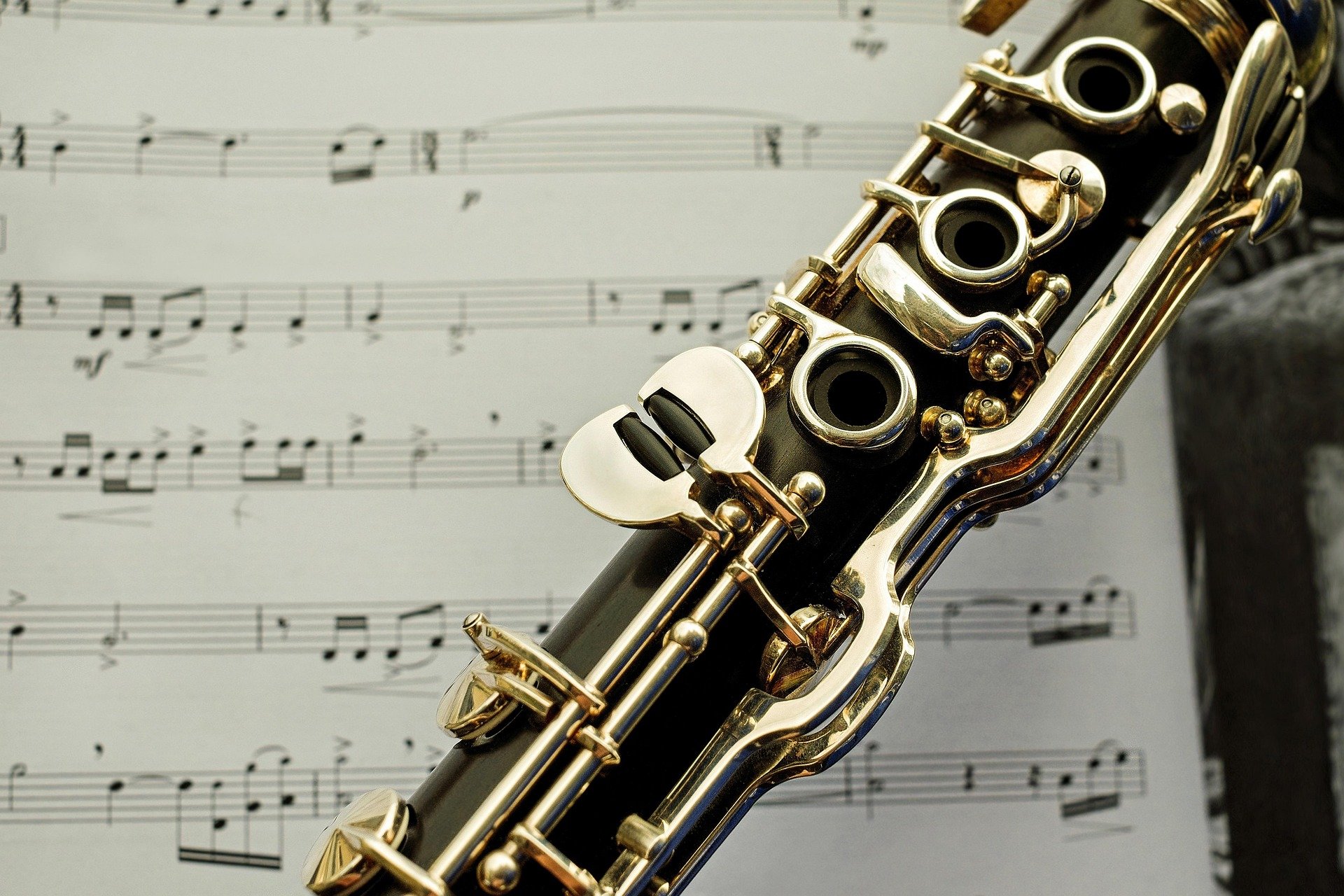 Oehler system clarinet