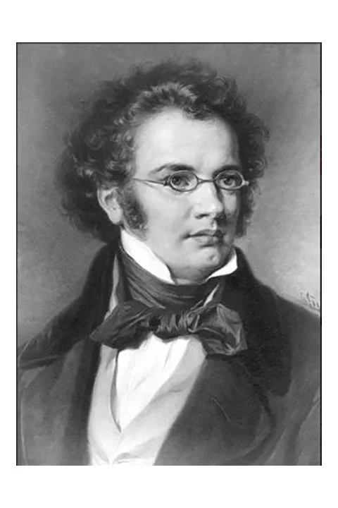 Black-and-white picture of Franz Schubert