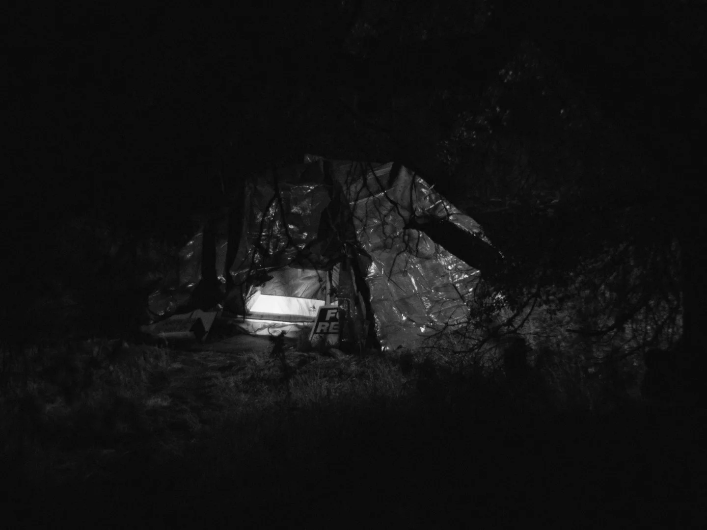 Untitled_2.172.1.jpg