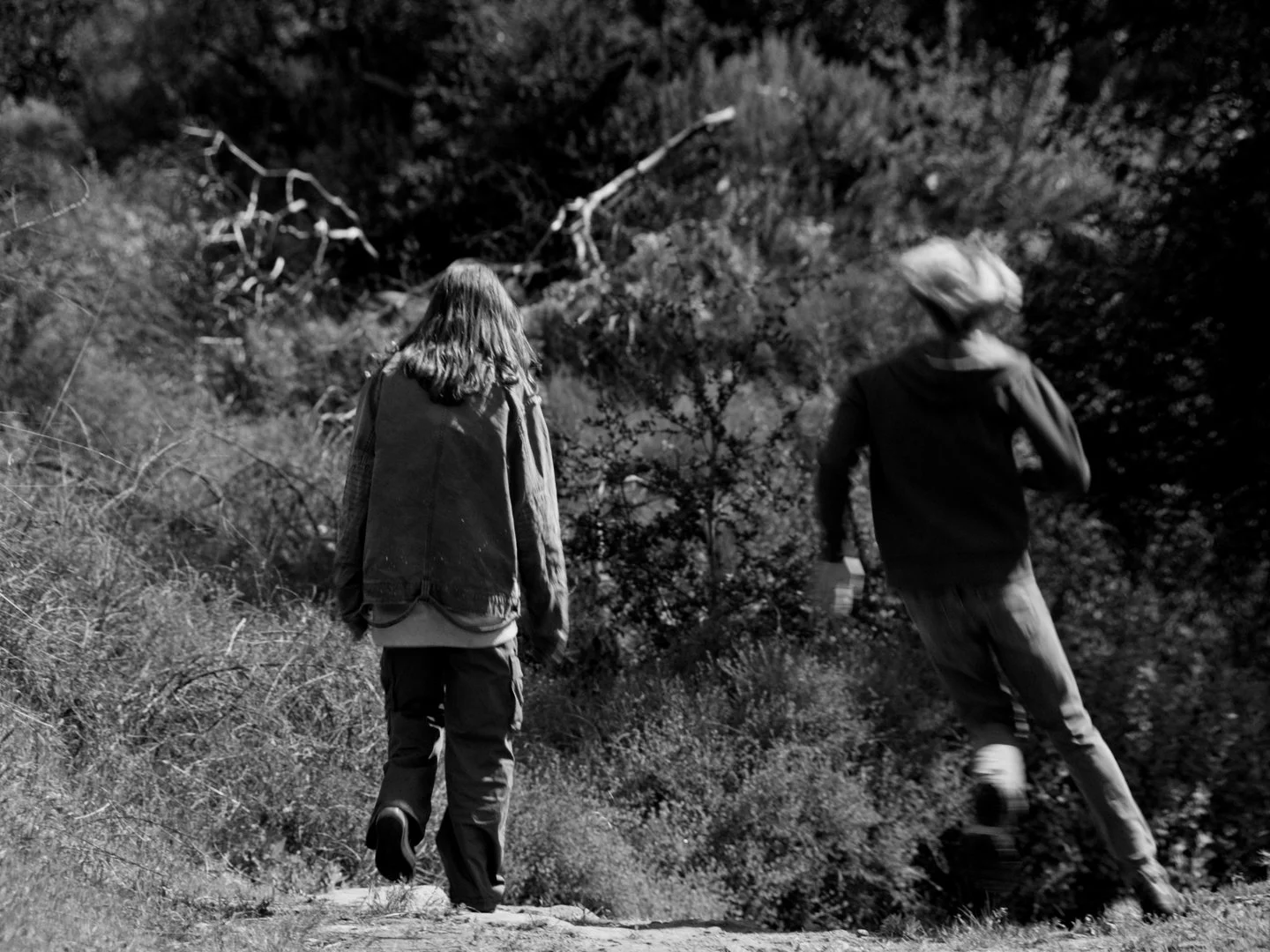 Untitled_2.79.1.jpg