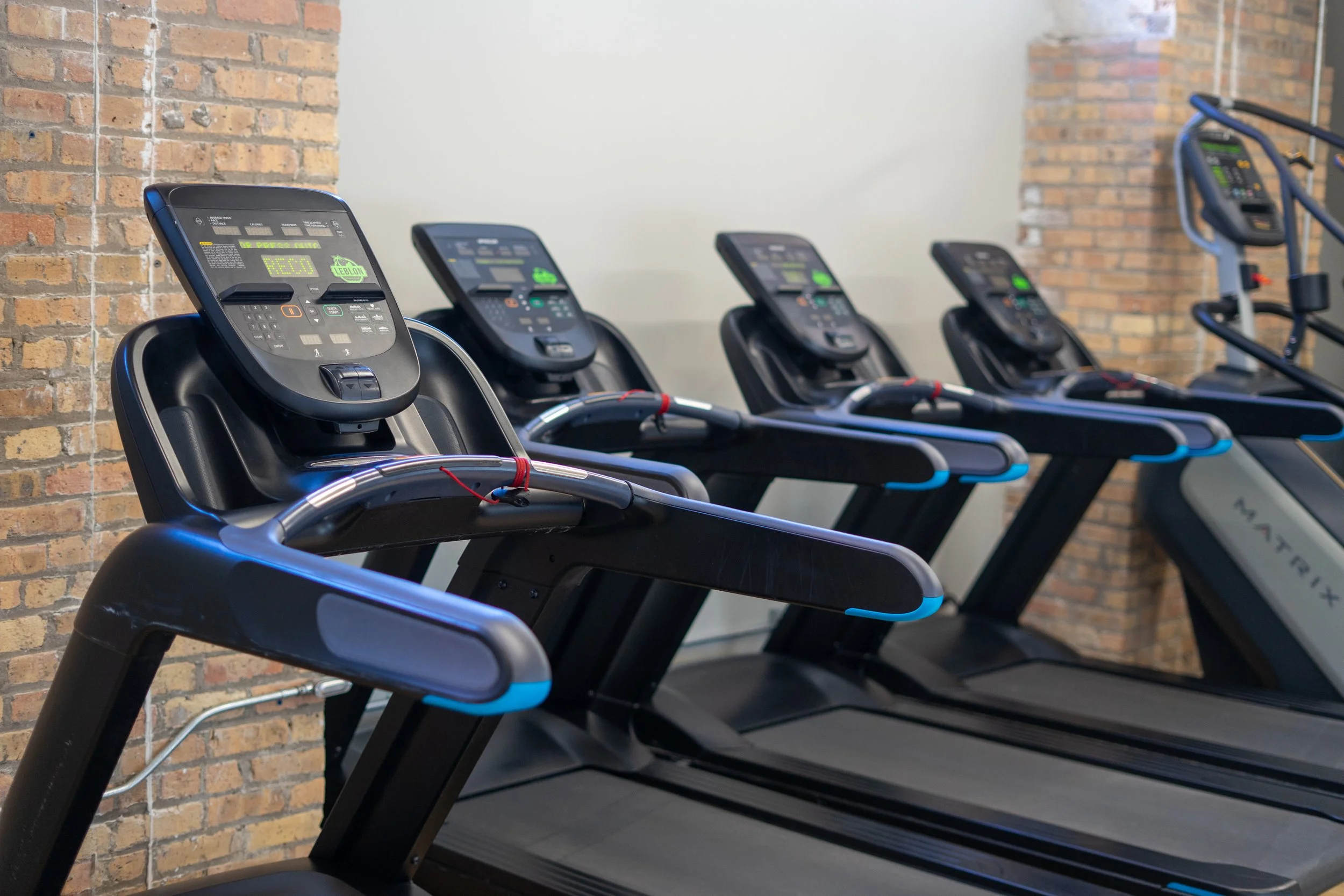 Several black treadmills are lined up in a gym against a brick wall with a concrete wall in the background.