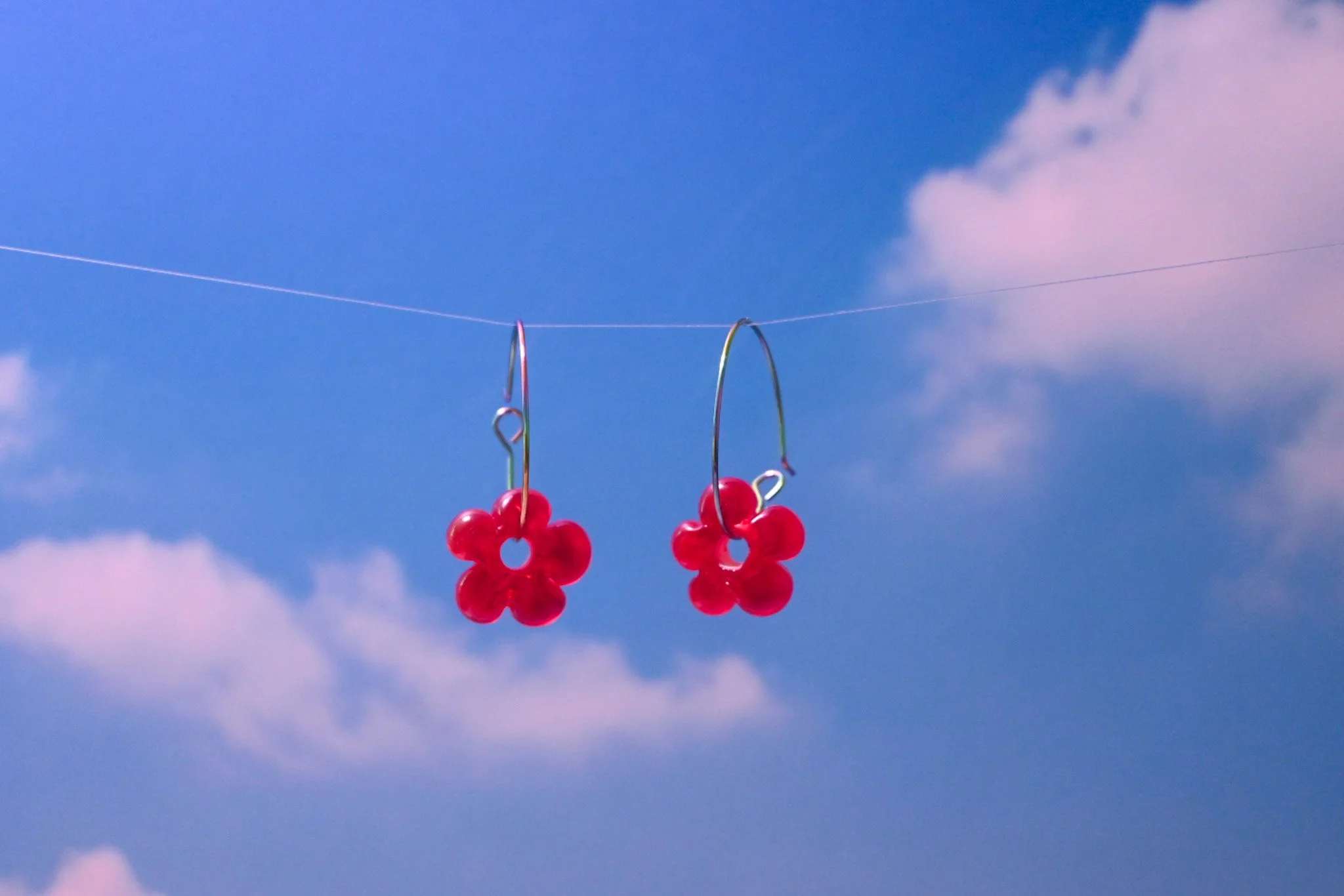 "cherry" daizies