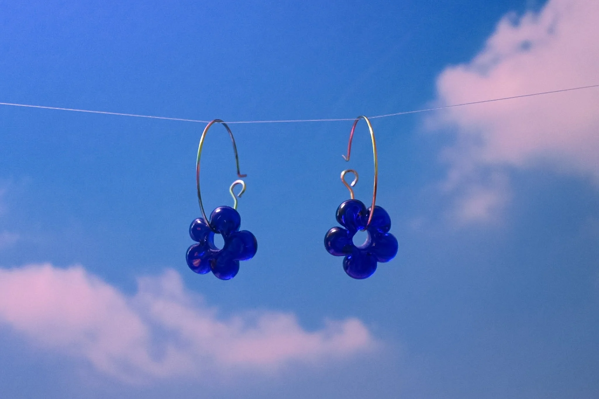 "bluez" daizies