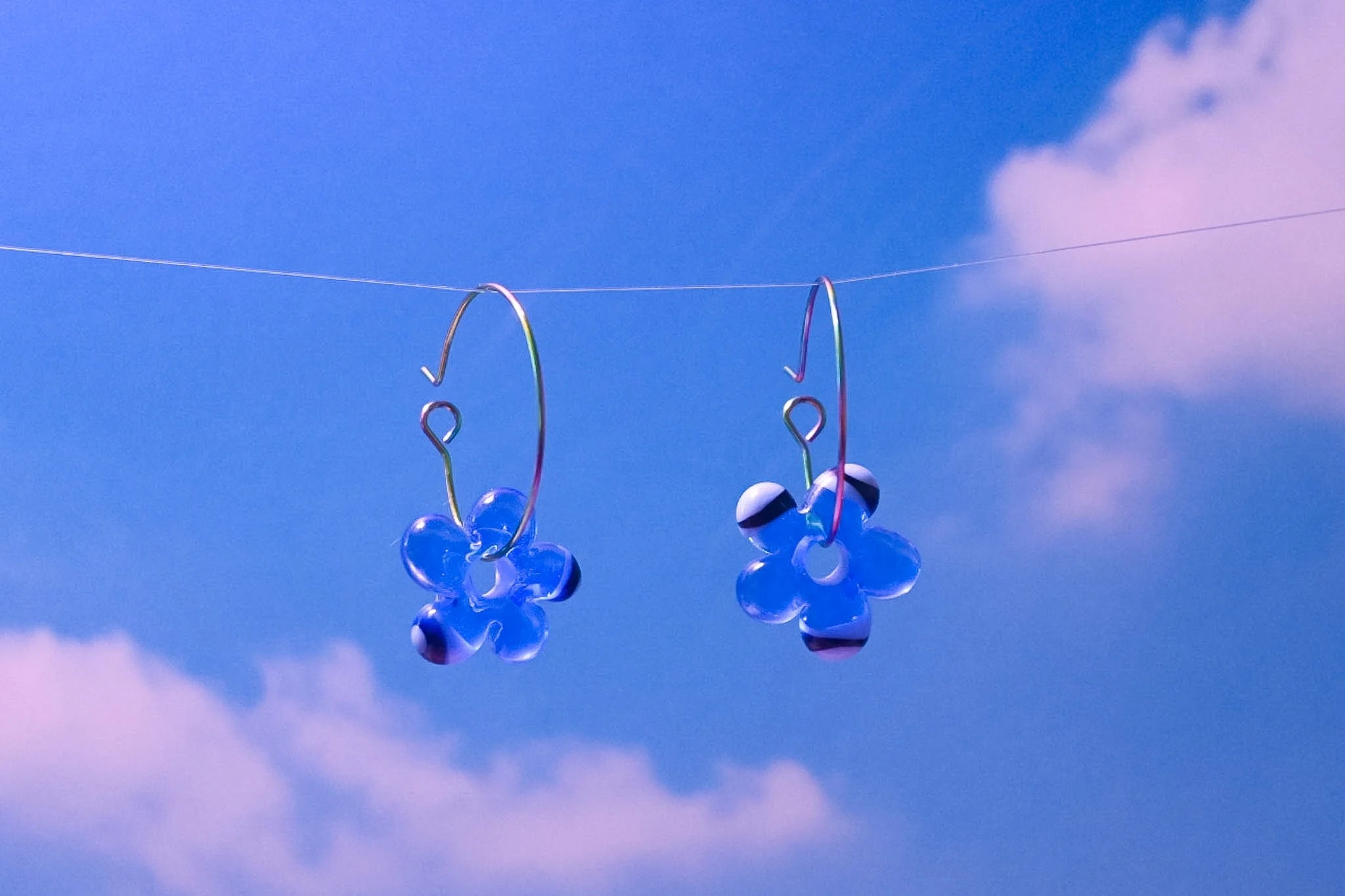 "spotted blue" daizies