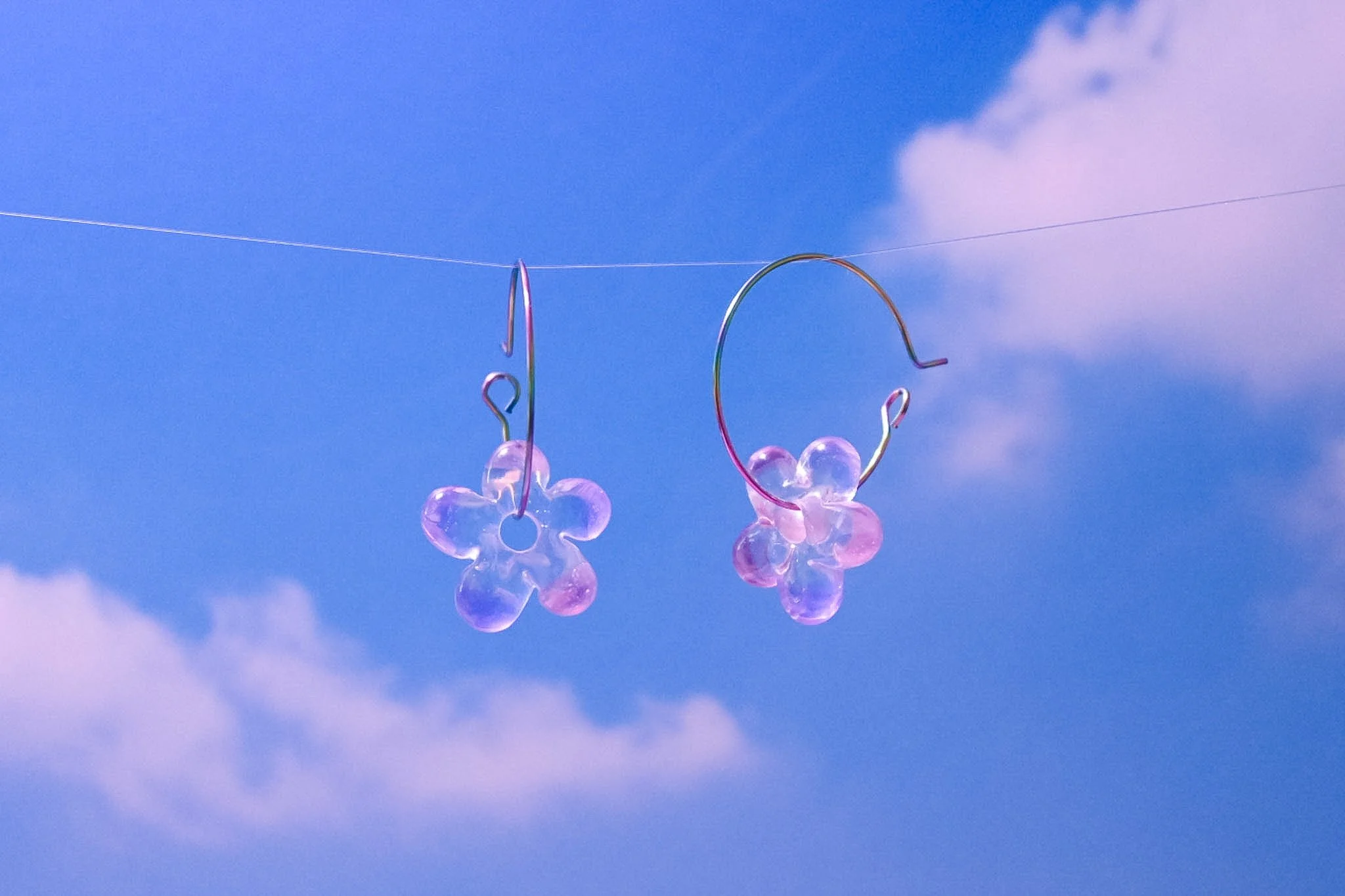 "dotted pink" daizies
