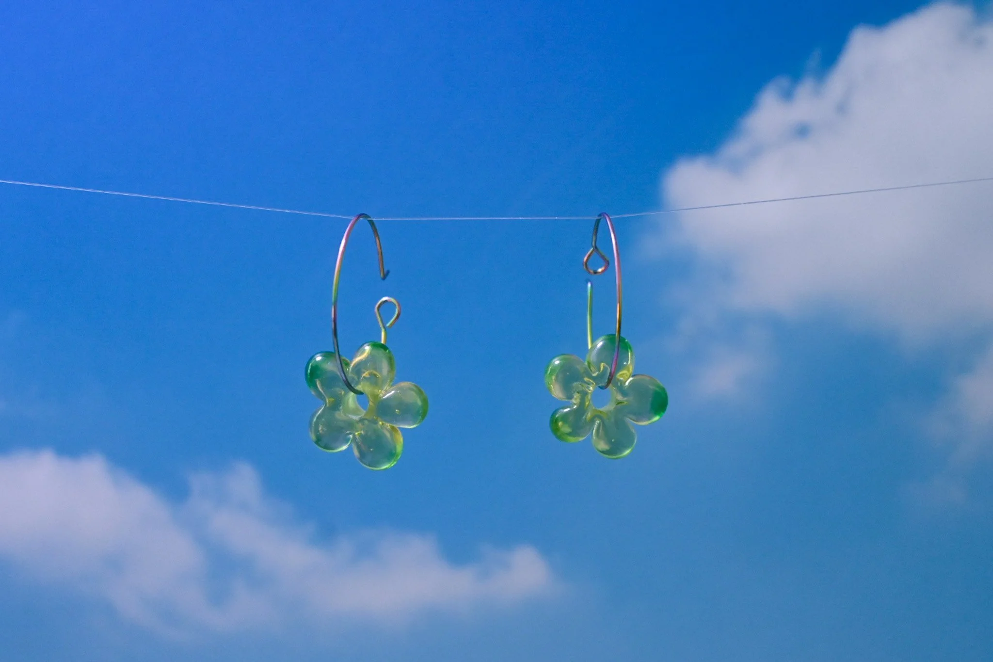 "spotted green" daizies