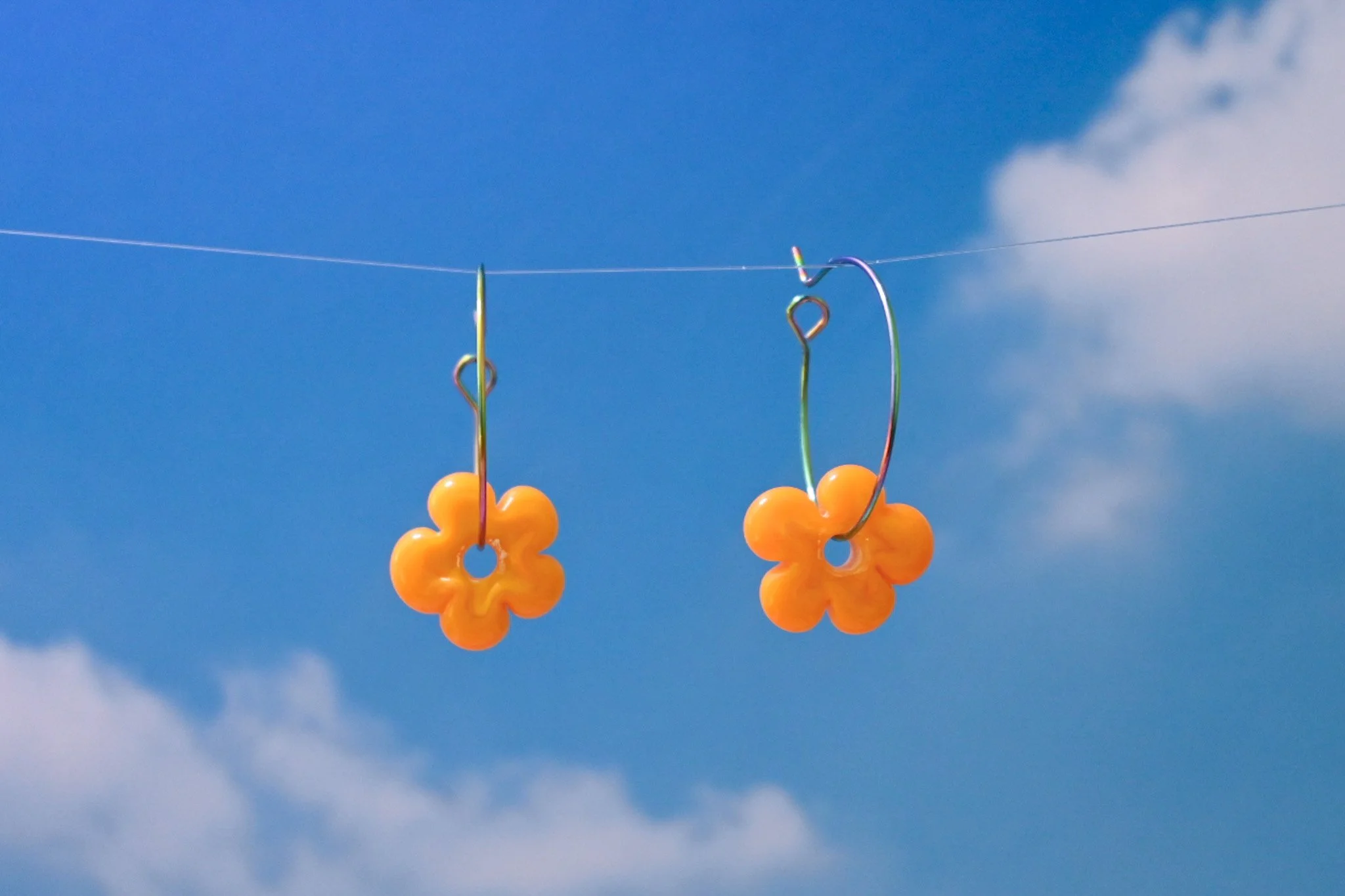 "sunflower" daizies