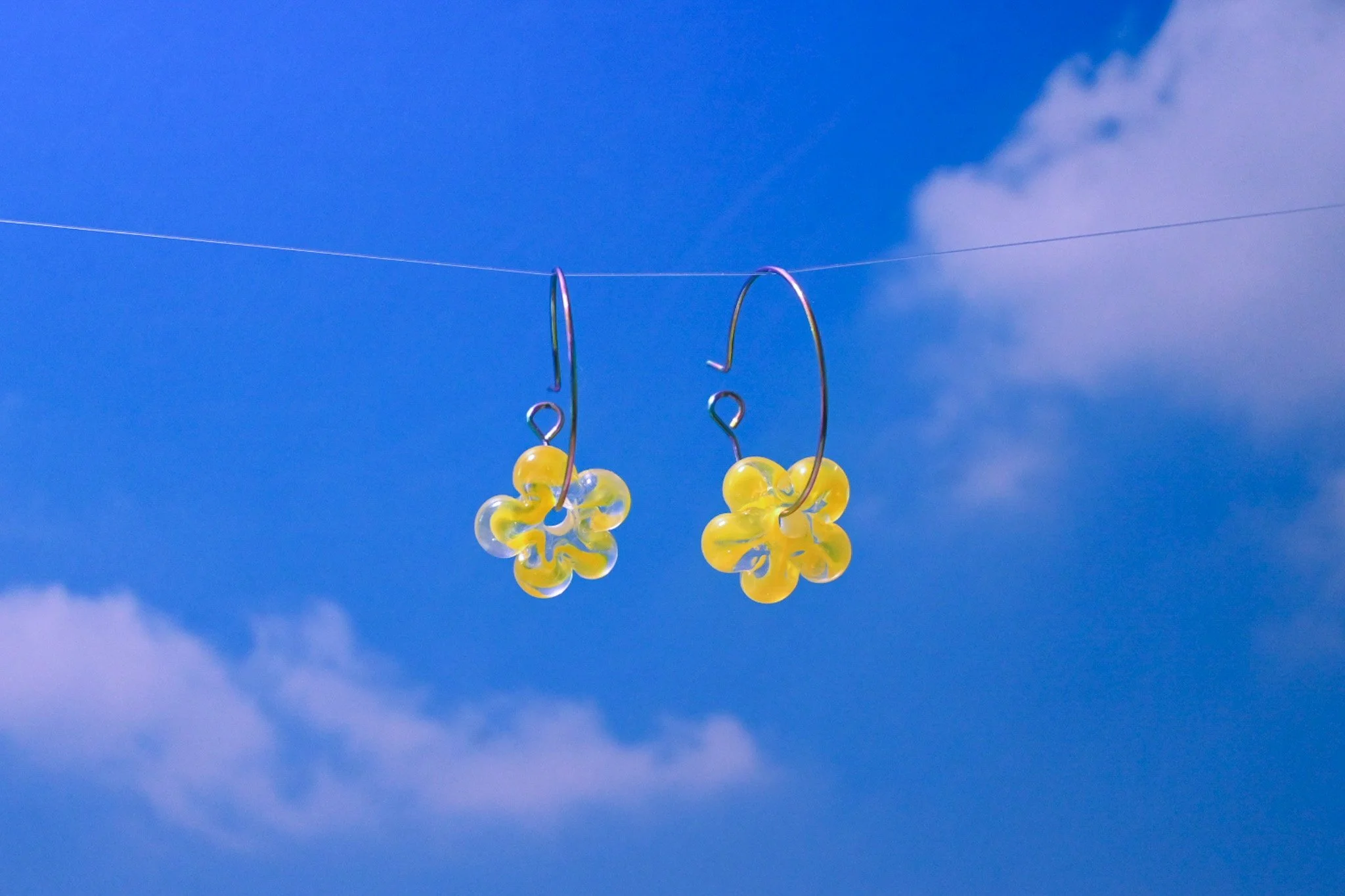 "daffodil" daizies