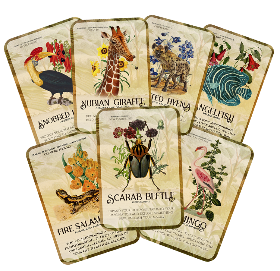 The Flora & Fauna of Africa Oracle — Jessi Ujazi
