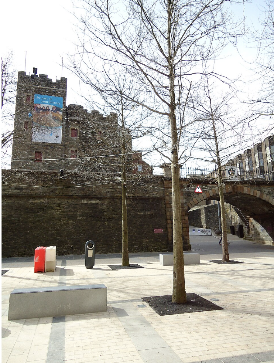 Discover the Tower Museum