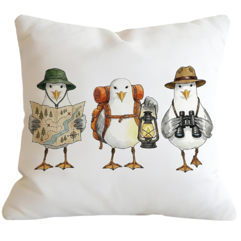 Explorer Cushion