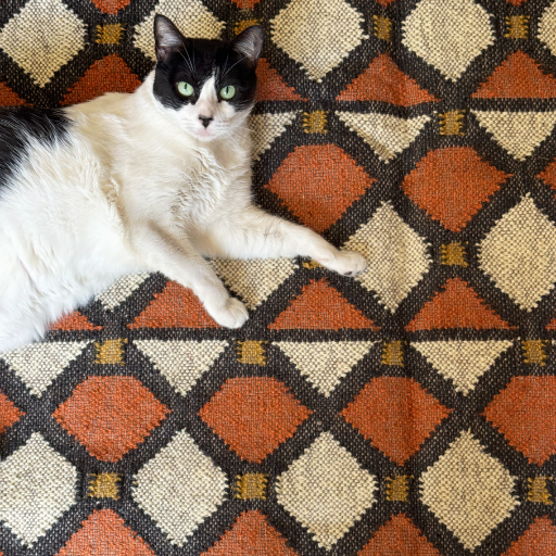 Mosaic Rug R4.png