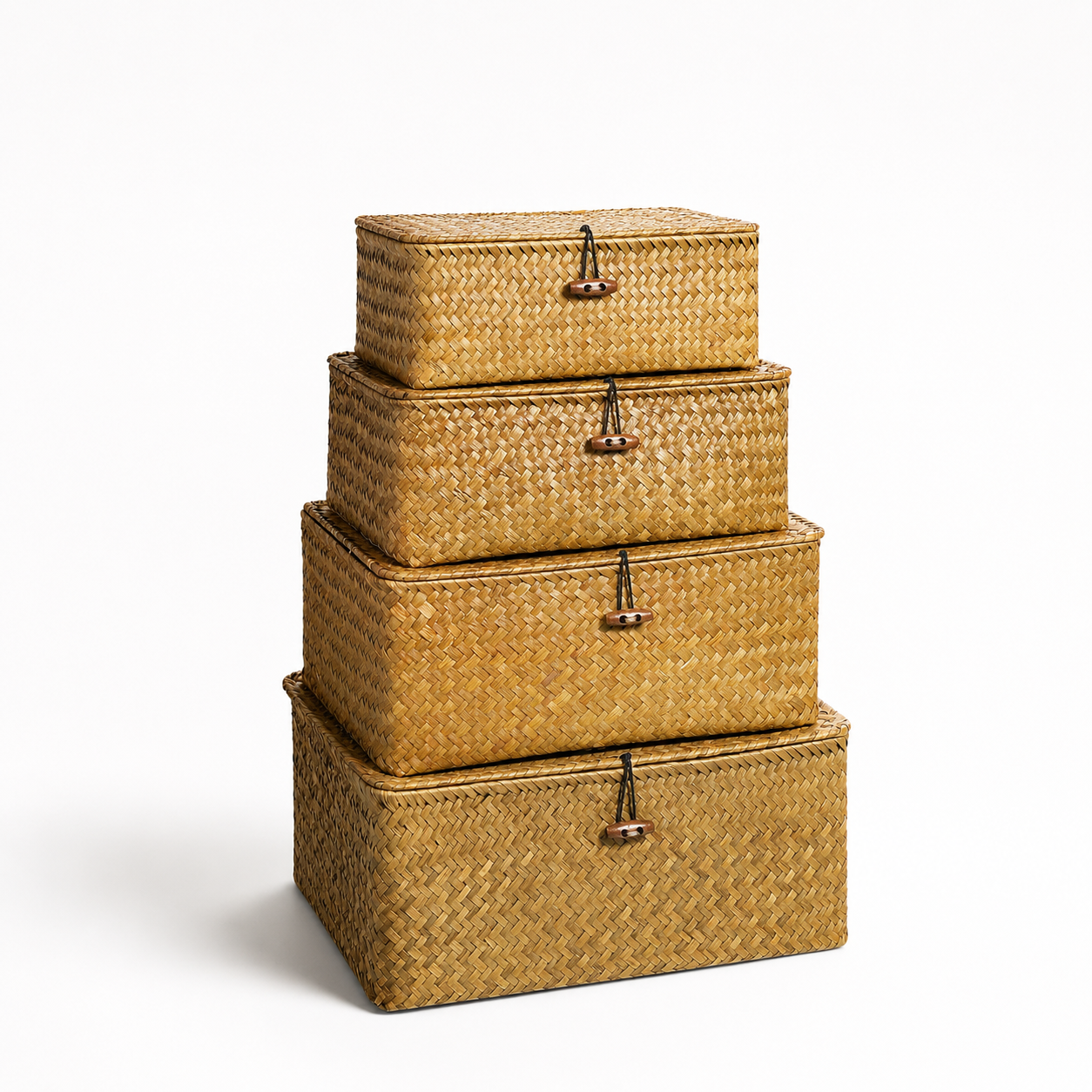 Noma Basket Family.png