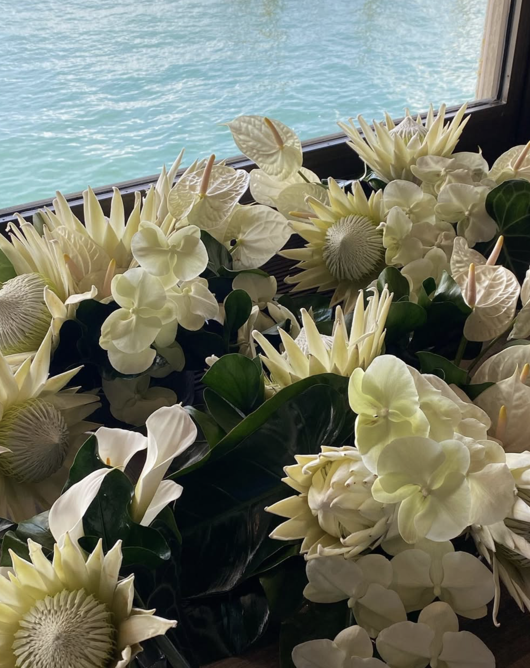 Screen Shot 2026-04-02 at 2.38.41 pm.png