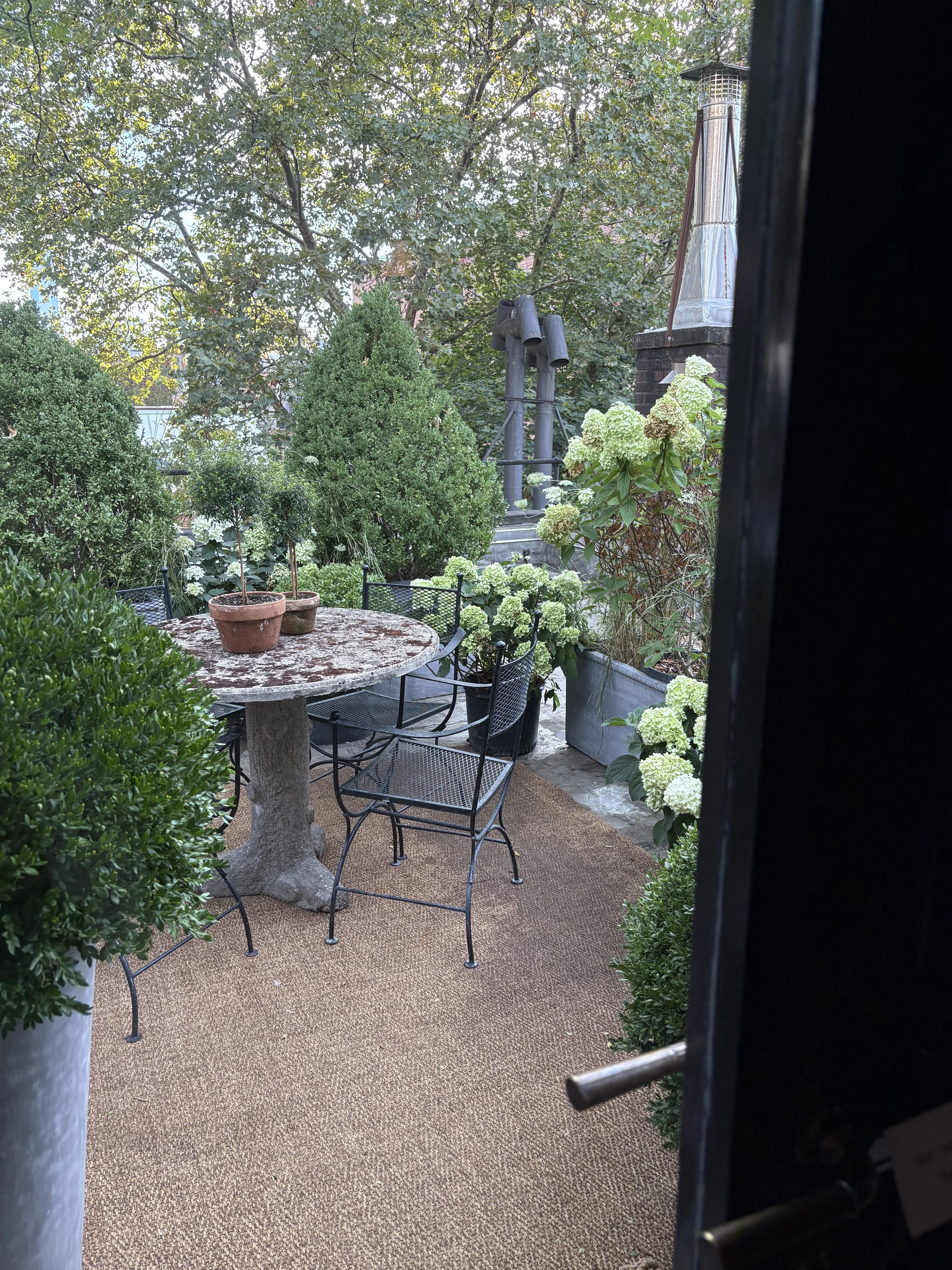 IMG_1142.jpeg