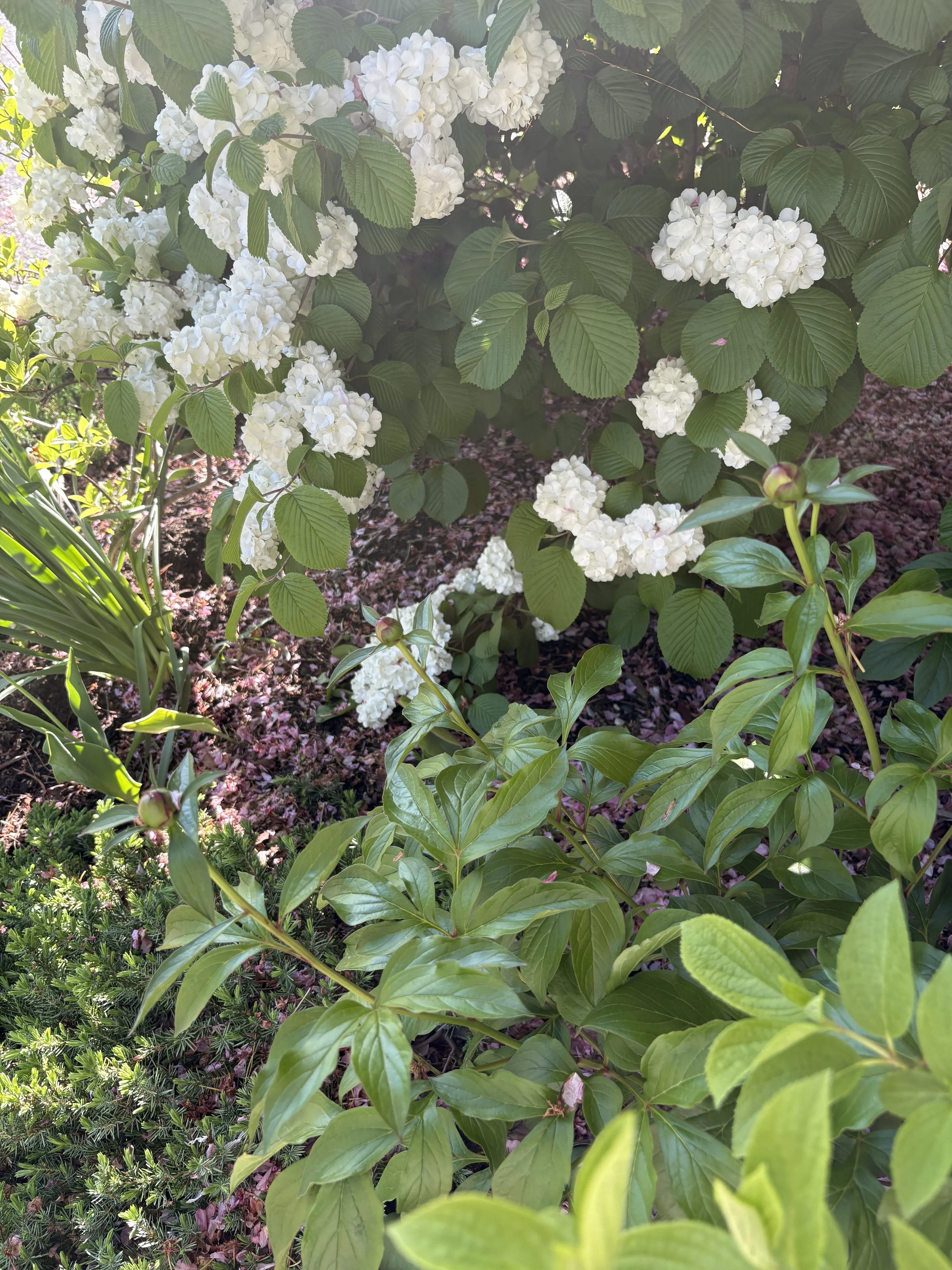 Three Essential Tasks To Clean &amp; Prep Your Garden In Spring