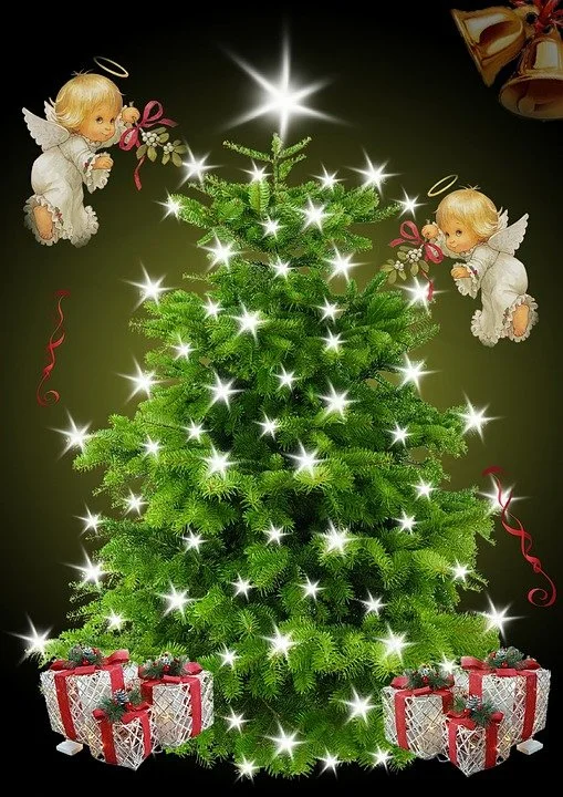 How to Choose a Holiday Christmas Tree ~ If You Can Find One; Plus Fanciful, Creative Holiday Tree Options