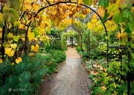 Autumn Gardening To-Do Checklist for Healthy, Happy, Reimagined, Sustainable Garden Glamour