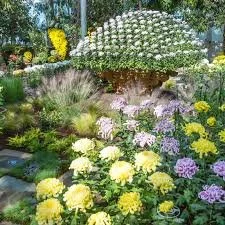 Mums the Word: NYBG Kiku Chrysanthemum Art Celebrates Japanese Royalty; Kiku Cocktail Garden-to-Glass Garnish!