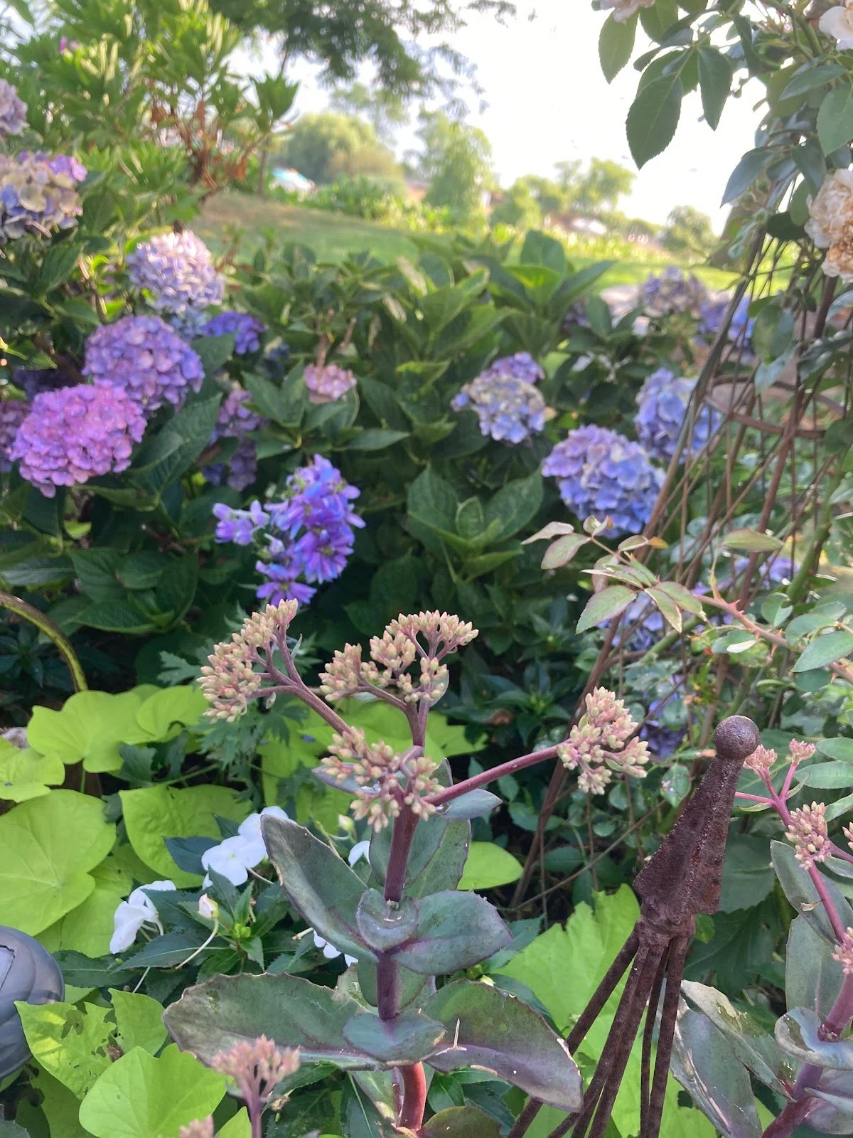Change is Constant: Never Underestimate Mother Nature & Other Gardening Lessons I Learned