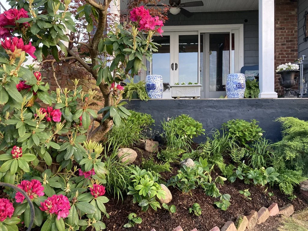 Less is More: How I Changed a Garden to Reflect a Changing Lifestyle 