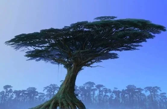 Our Trees are Stars of Film, Poetry, & Books: Arbor Day Tree Tips to Grow Inspiring Native Trees at Your Home