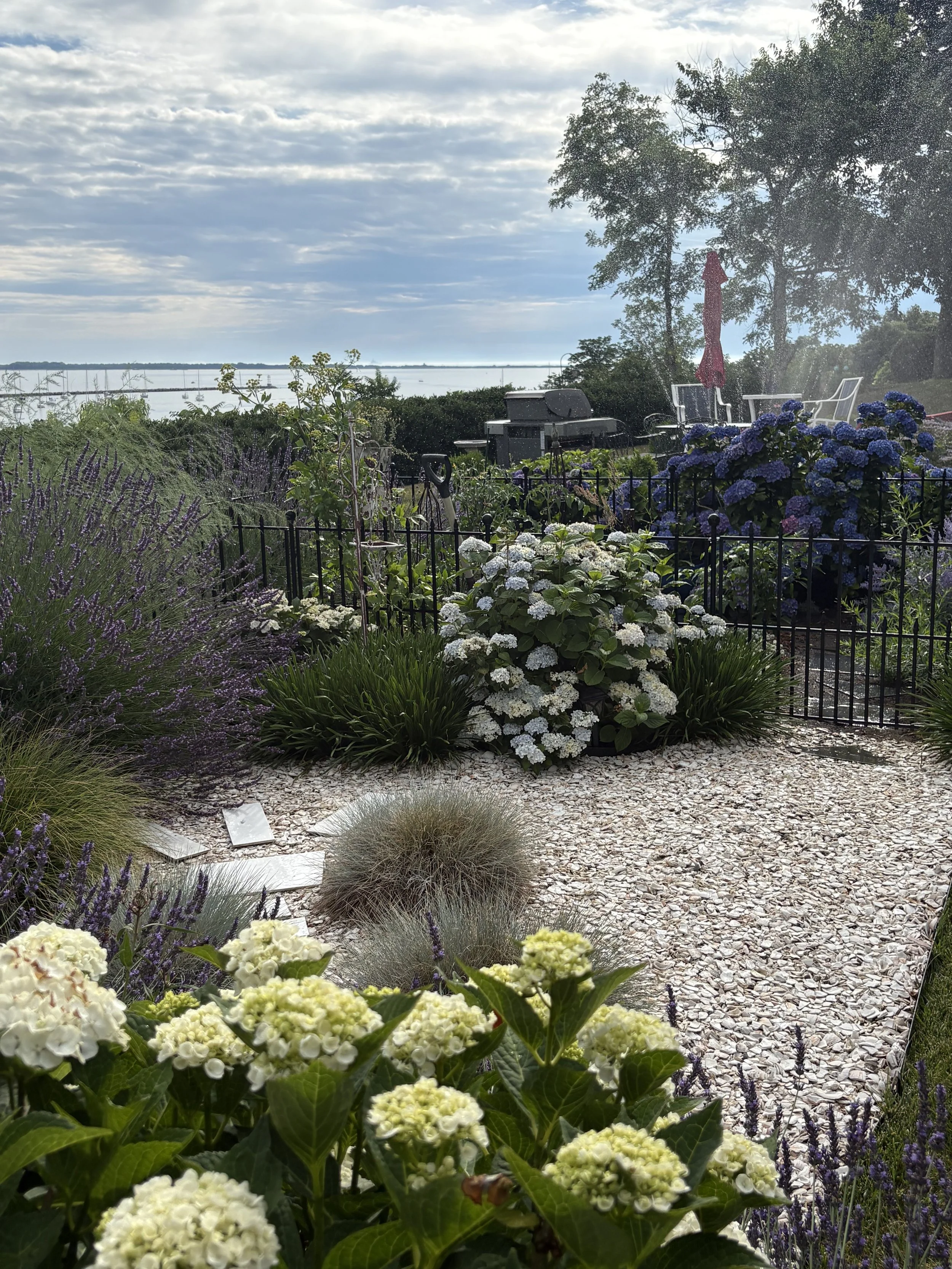 IMG_6216.jpeg